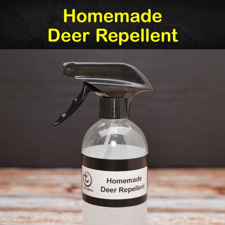 Homemade Deer Repellent