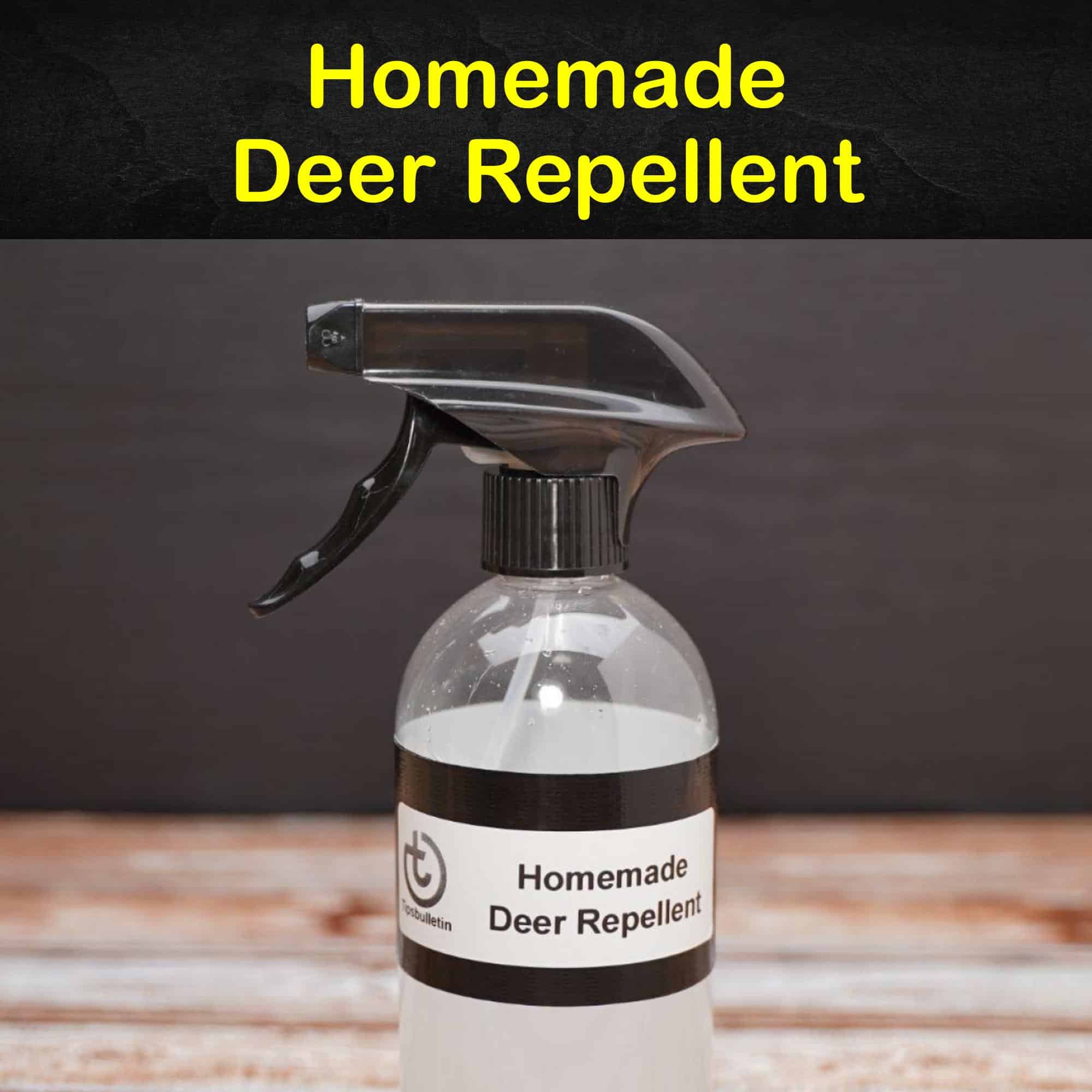 11 Brilliant DIY Ideas for Deer Repellents
