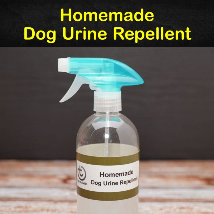 does white vinegar keep dogs away