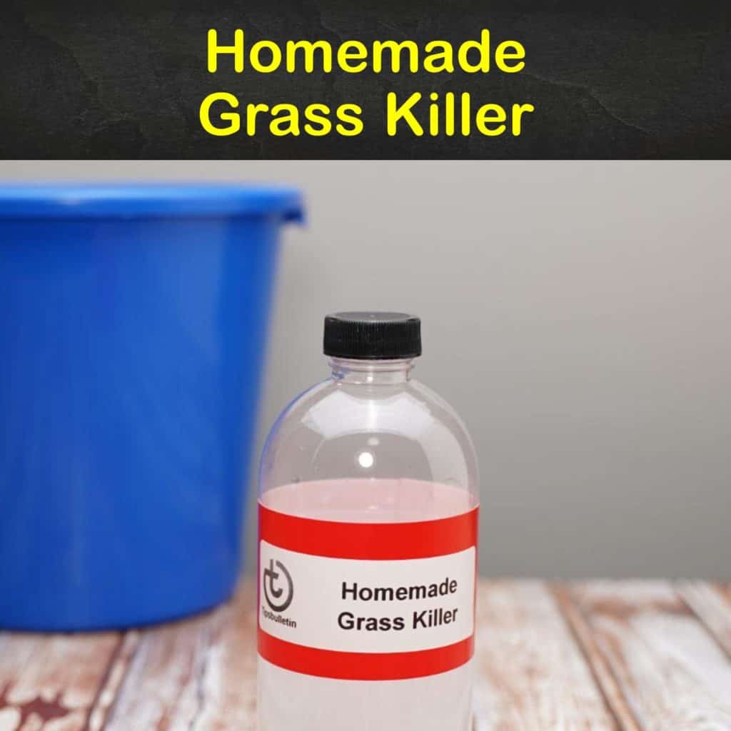 9 Natural Homemade Grass Killer Recipes & Methods