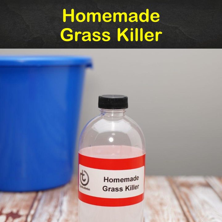 Homemade Grass Killer