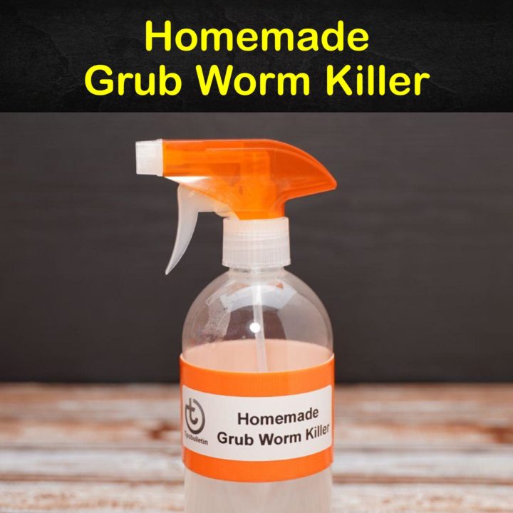 Homemade Grub Worm Killer