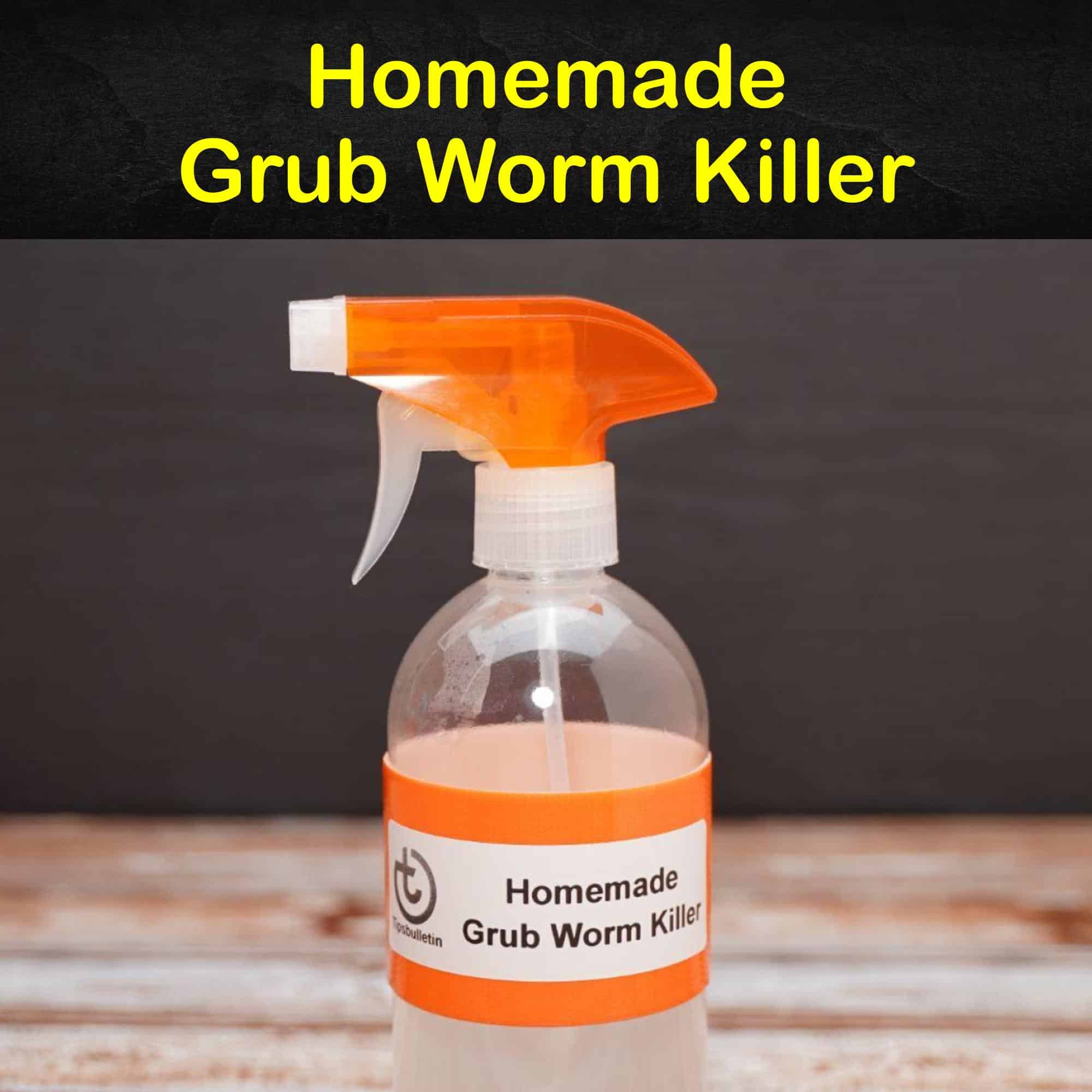 Killing Grub Worms Naturally 10 Homemade Grub Worm Killer Tips