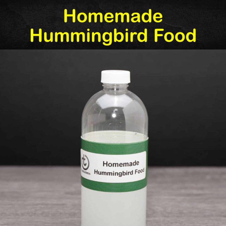 Homemade Hummingbird Food