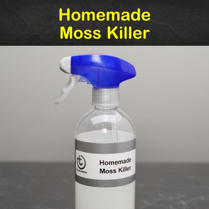 Homemade Moss Killer