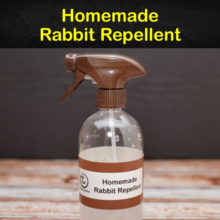 Homemade Rabbit Repellent