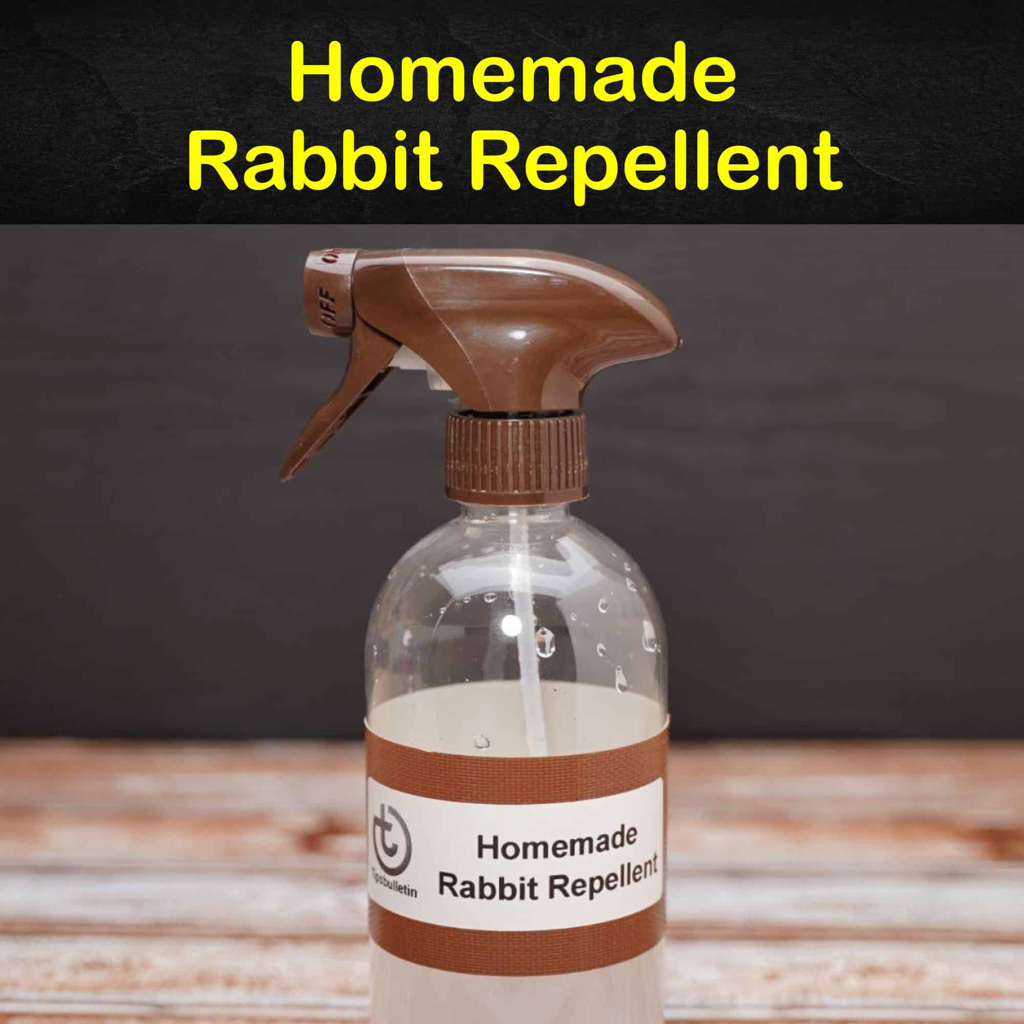 Homemade clearance rabbit repellent
