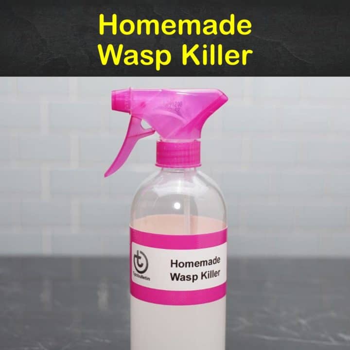 Homemade Wasp Killer