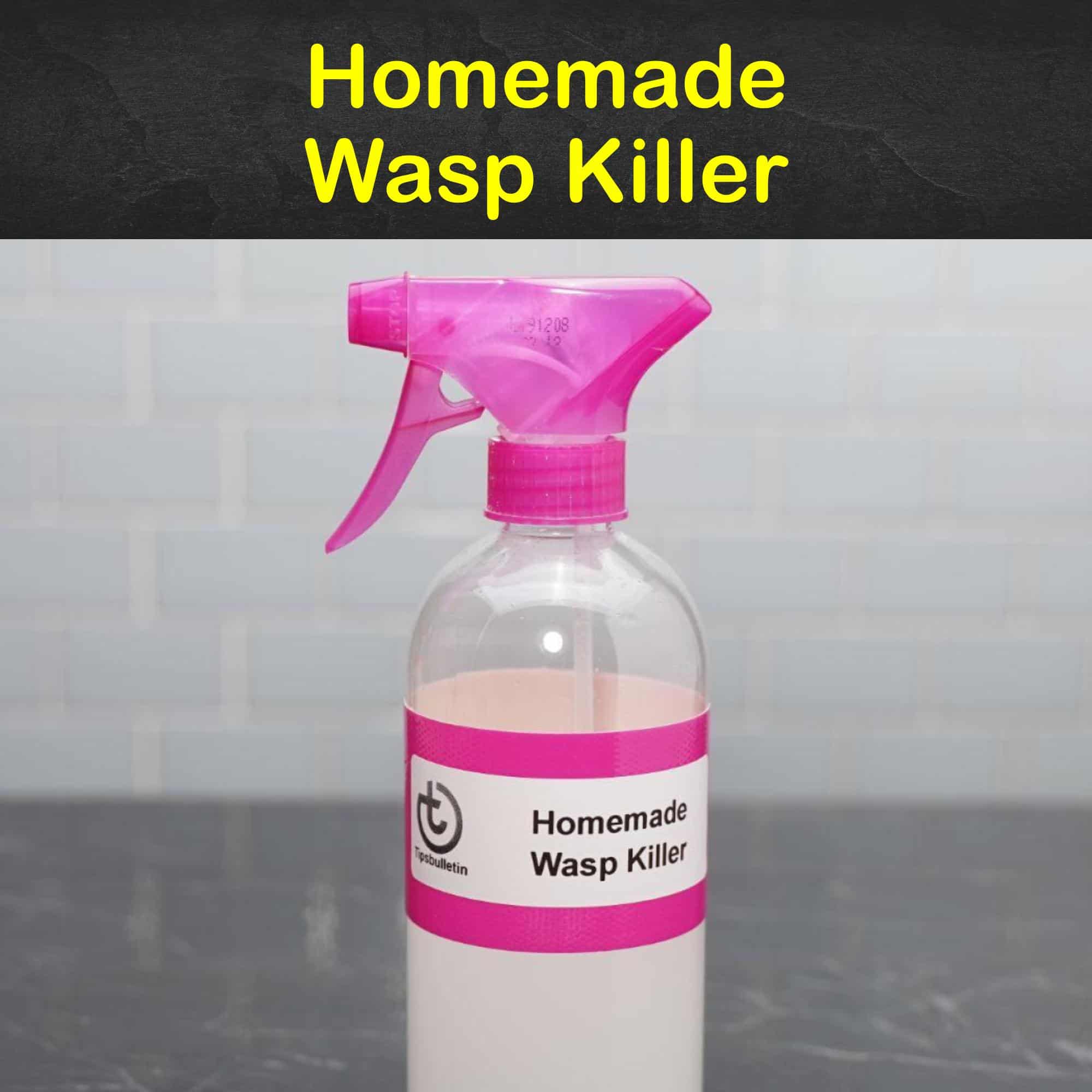 Killing Wasps Safely 11 Homemade Wasp Killer Tips and Recipes