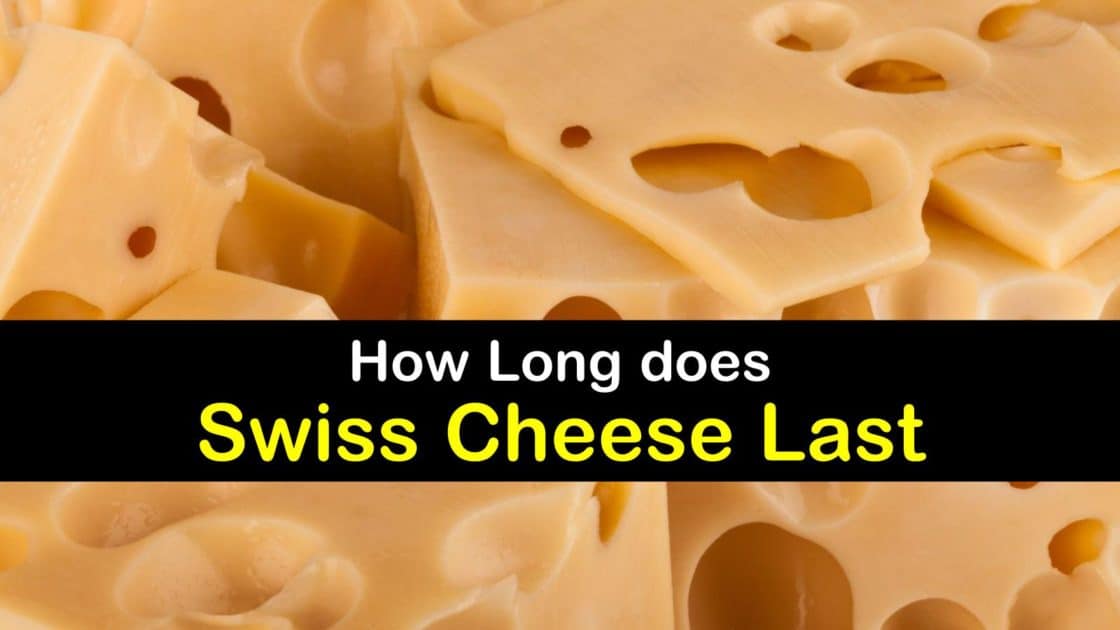 How Long does Swiss Cheese Last - Tips Bulletin