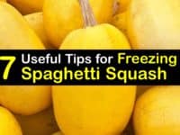 How to Freeze Spaghetti Squash titleimg1