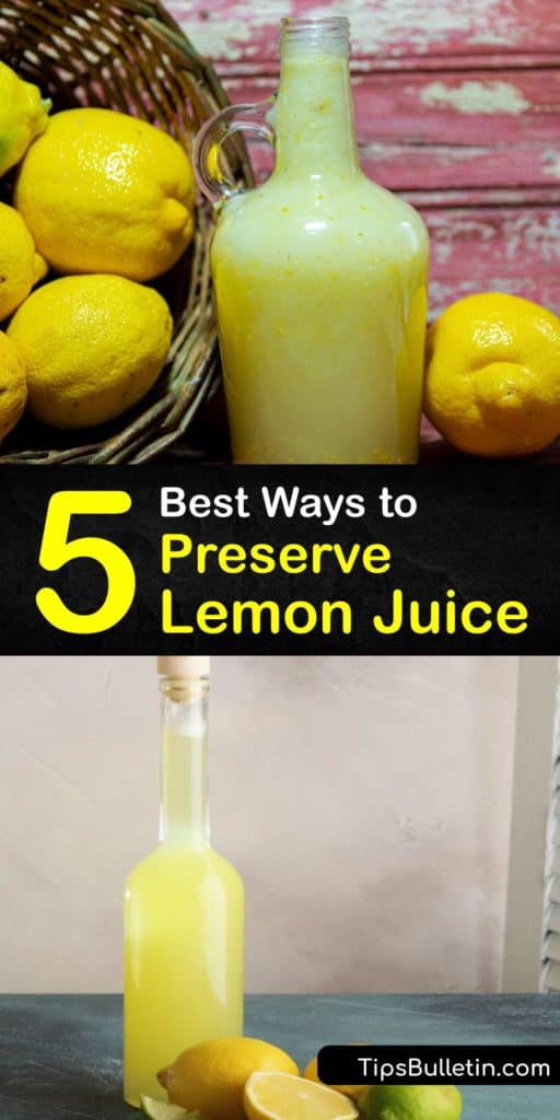 Utilize every single lemon from your lemon tree by juicing them with a juicer, canning them in a glass jar, and making frozen lemon cubes. These fun preservation methods outlast storing them at room temperature and use the lemon zest, rind, and juice so none gets wasted. #preserve #lemon #juice