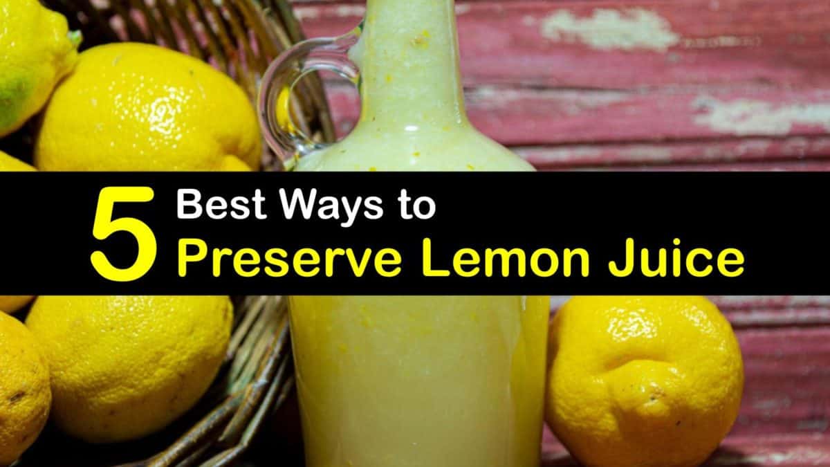Best way to deals juice a lemon
