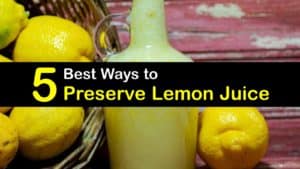 How to Preserve Lemon Juice titleimg1