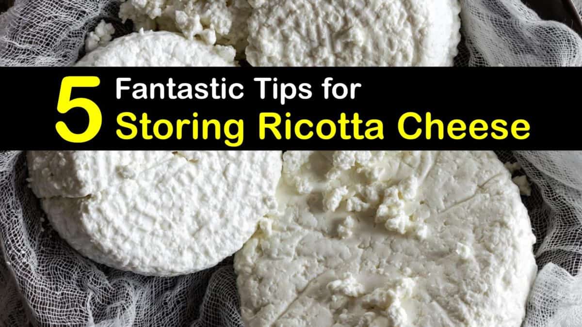 Ricotta Cheese Storage Incredible Ways to Preserve Ricotta