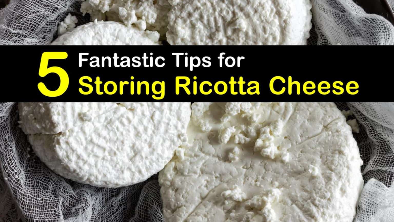 Ricotta Cheese Storage Incredible Ways to Preserve Ricotta