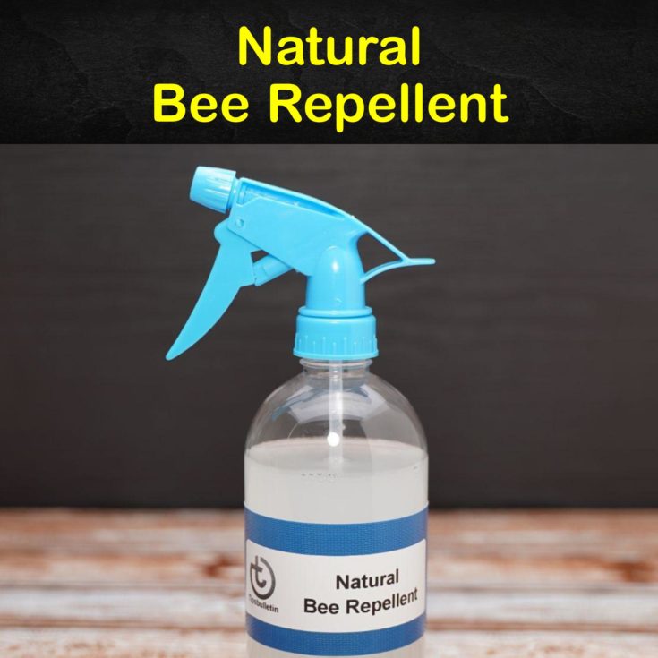 a natural scent to keep bees away from dogs