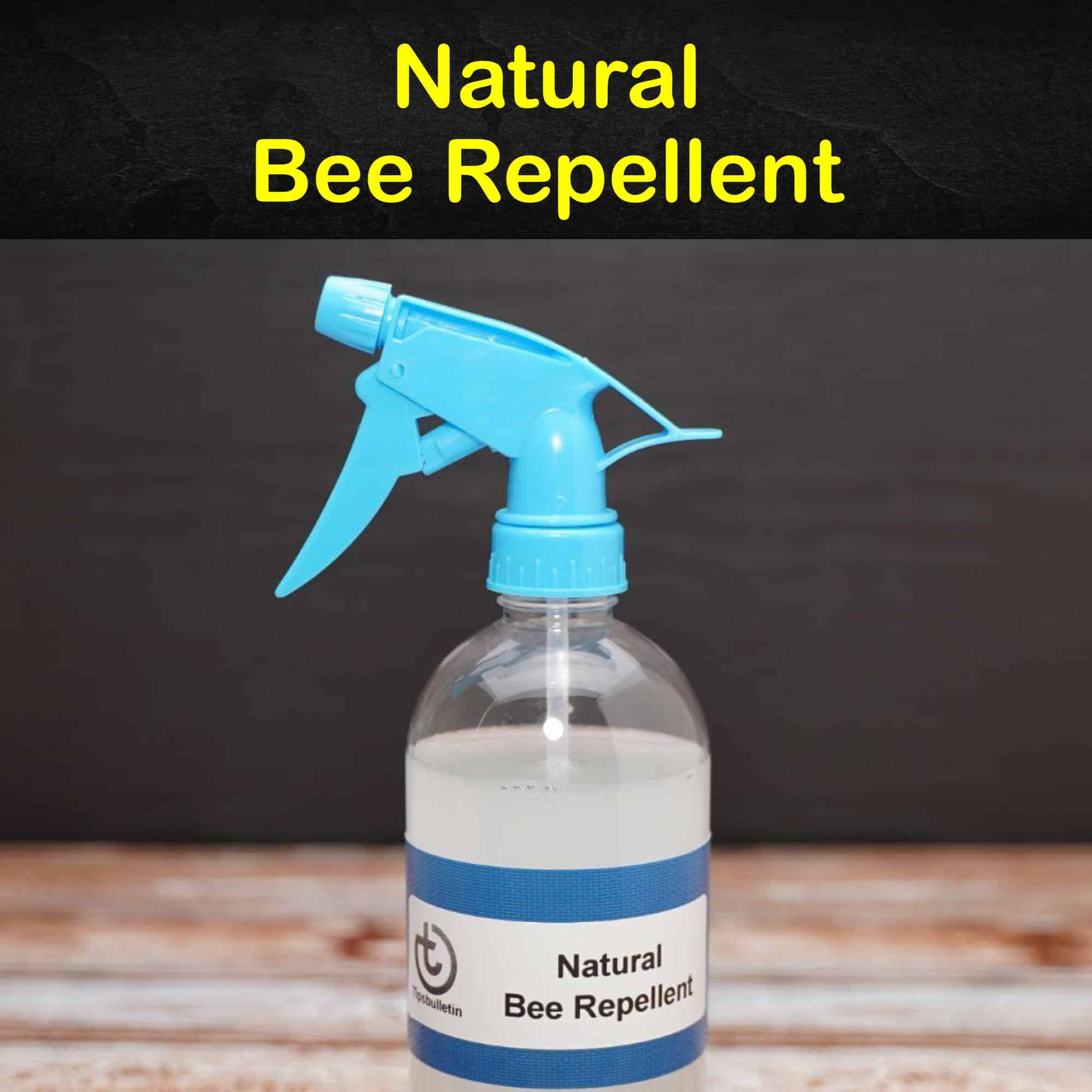 Keeping Bees Away 17 Natural Bee Repellent Tips and Recipes