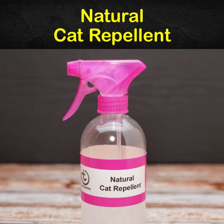 Natural Cat Repellent