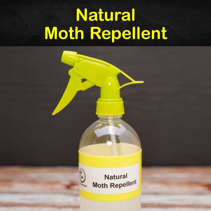 Natural Moth Repellent