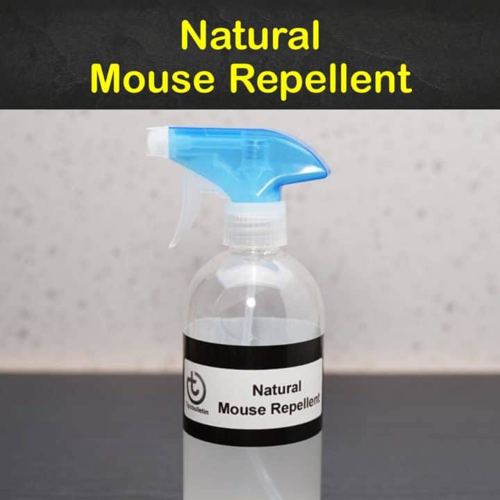 Natural Mouse Repellent