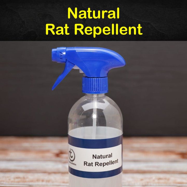 Natural Rat Repellent
