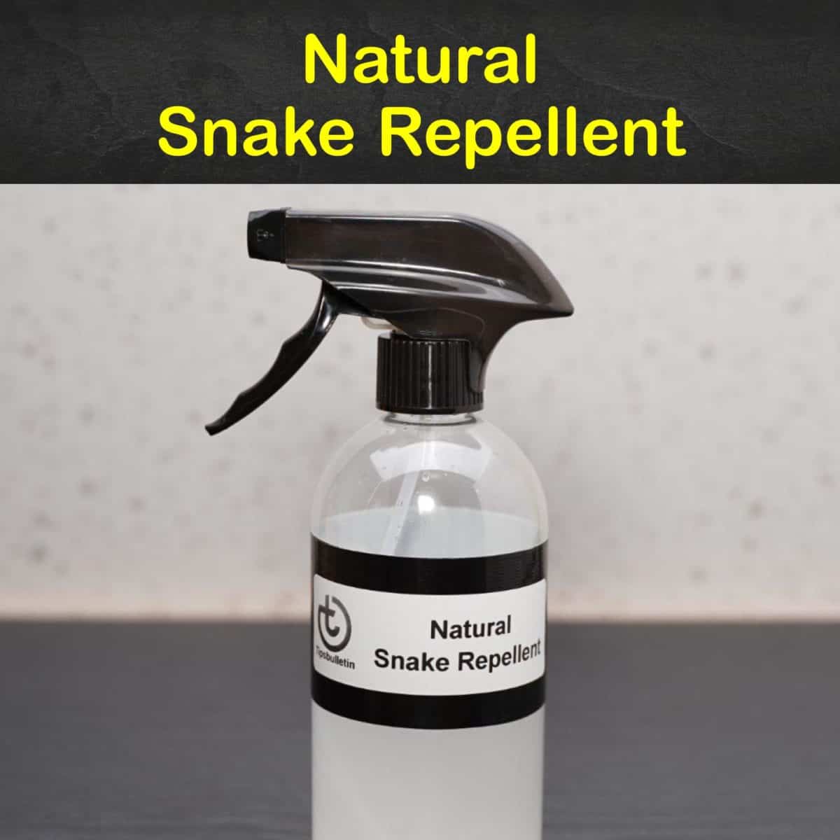 9 Fast & Easy Homemade Snake Repellent Recipes