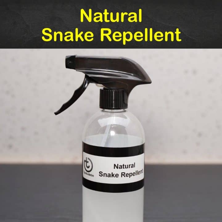 Natural Snake Repellent