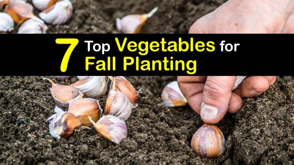 Vegetables to Plant in Fall titleimg1