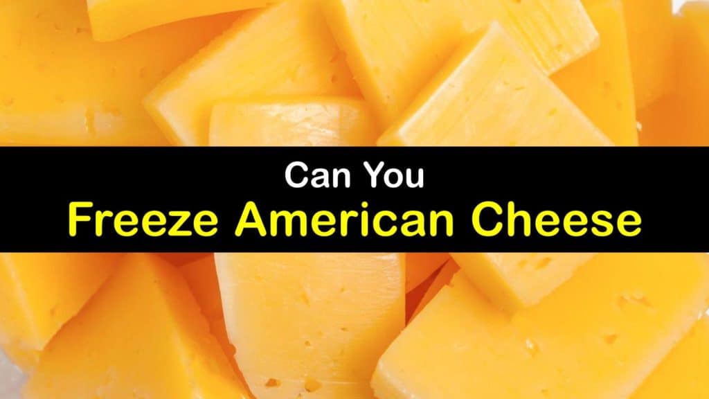 Can You Freeze American Cheese titleimg1