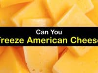 Can You Freeze American Cheese titleimg1