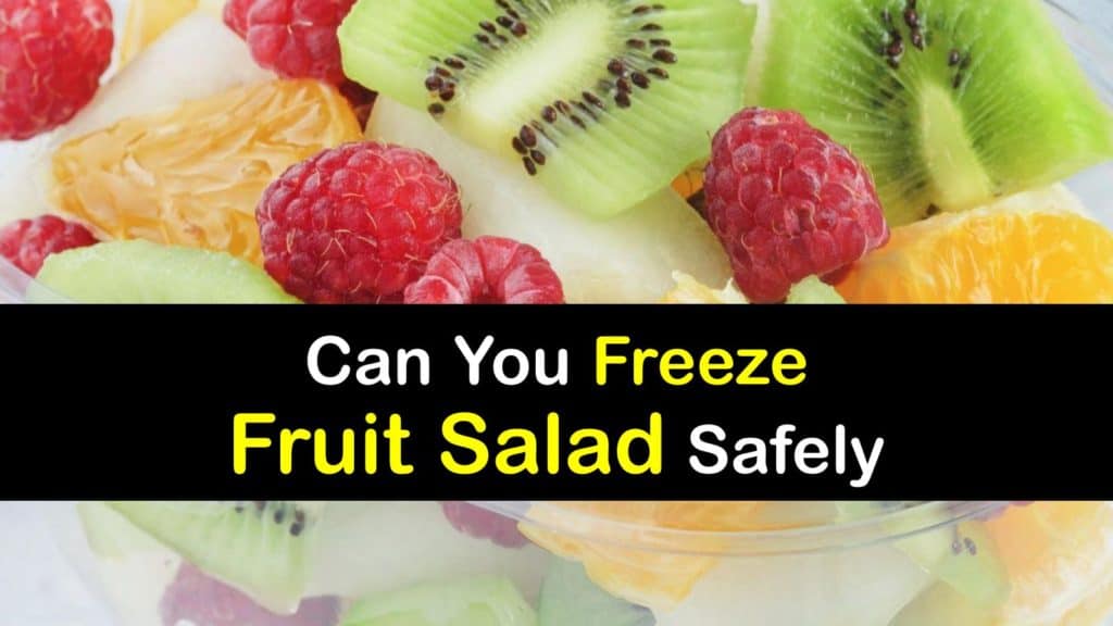 Can You Freeze Fruit Salad titleimg1
