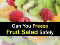 Can You Freeze Fruit Salad titleimg1