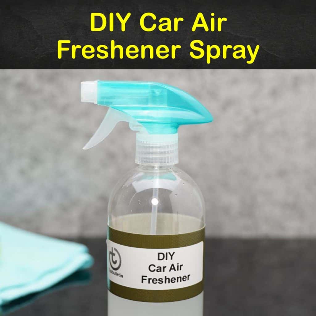 11 AllNatural Homemade Car Air Fresheners