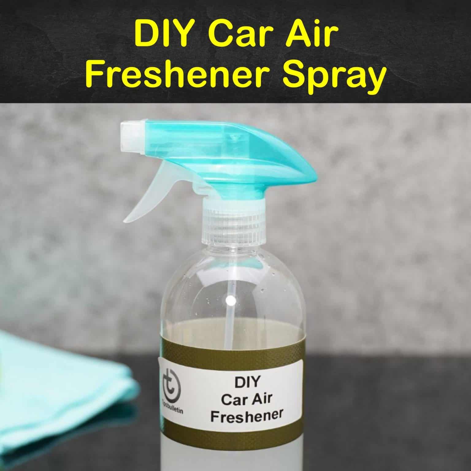 11 AllNatural Homemade Car Air Fresheners