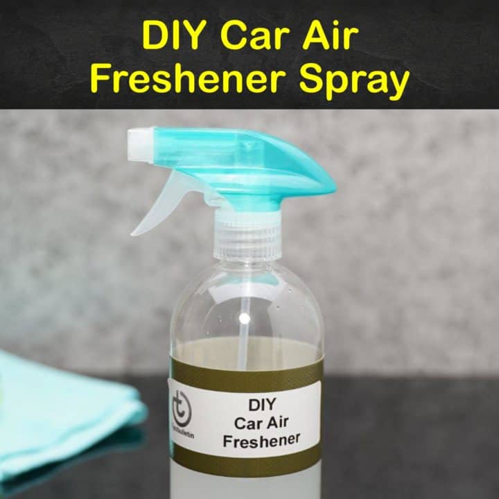 DIY Car Air Freshener