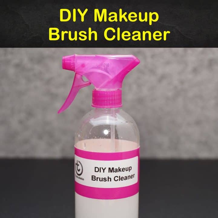 DIY Makeup Brush Cleaner