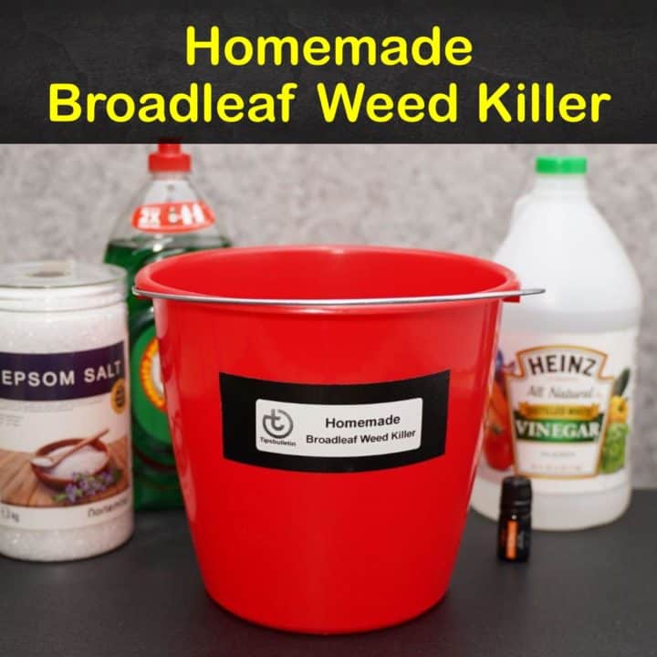 Homemade Broadleaf Weed Killer