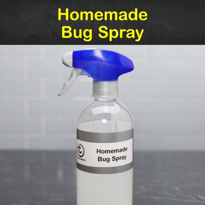 Homemade Bug Spray