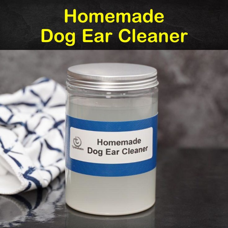 do you fill a dogs ear with vinegar water solution