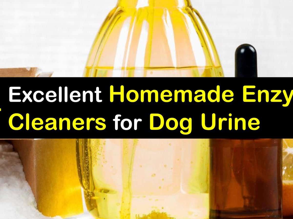 Homemade Enzyme Cleaners For Dog Urine, Enzyme Cleaner For Dog Urine On Hardwood Floors