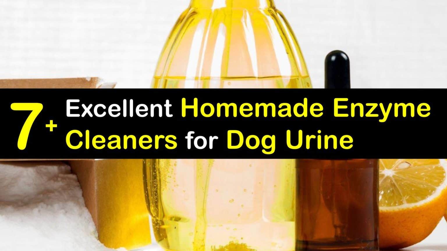 7+ Excellent Homemade Enzyme Cleaners for Dog Urine