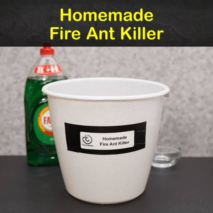 Homemade Fire Ant Killer
