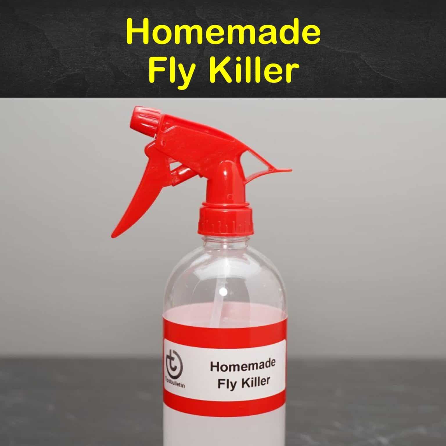 Homemade Fly Killer Recipes 11 Natural Tips for Killing Flies