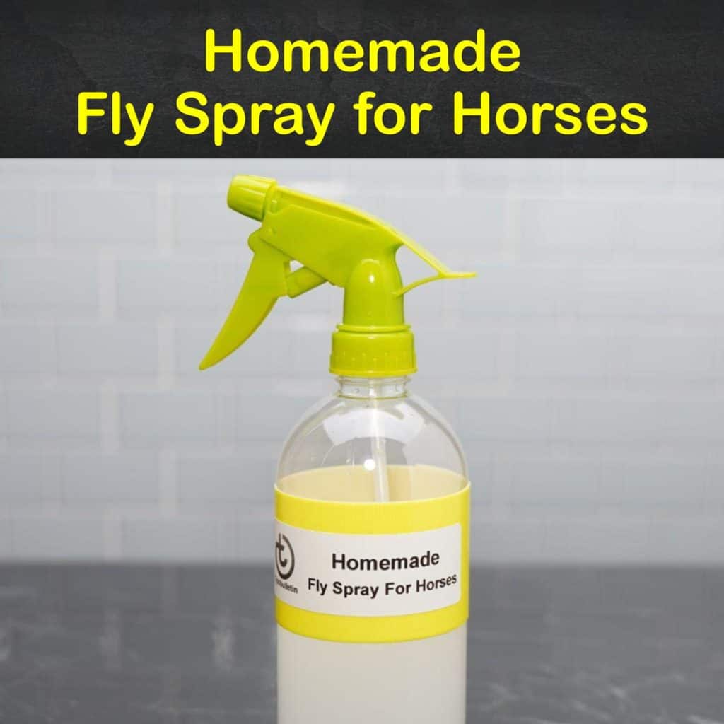 4 DoItYourself Fly Spray Recipes for Horses