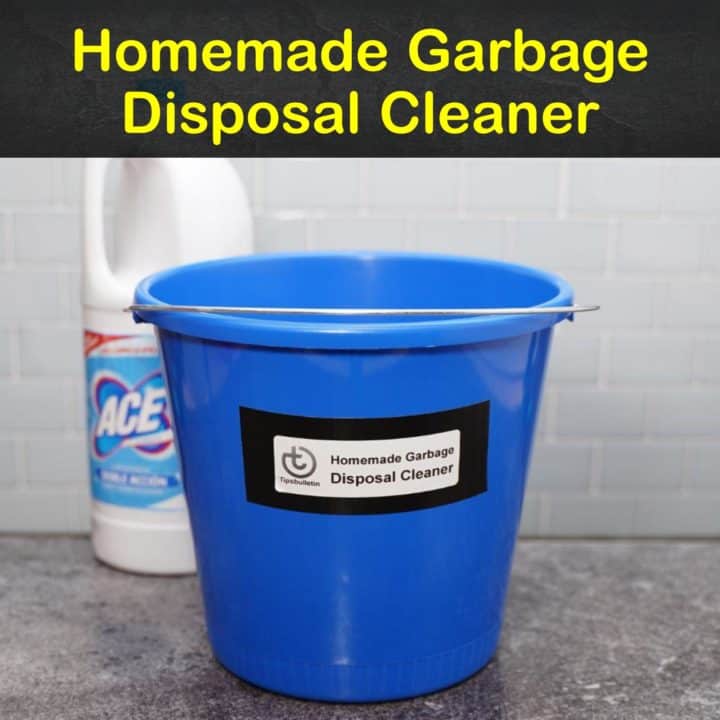 Homemade Garbage Disposal Cleaner