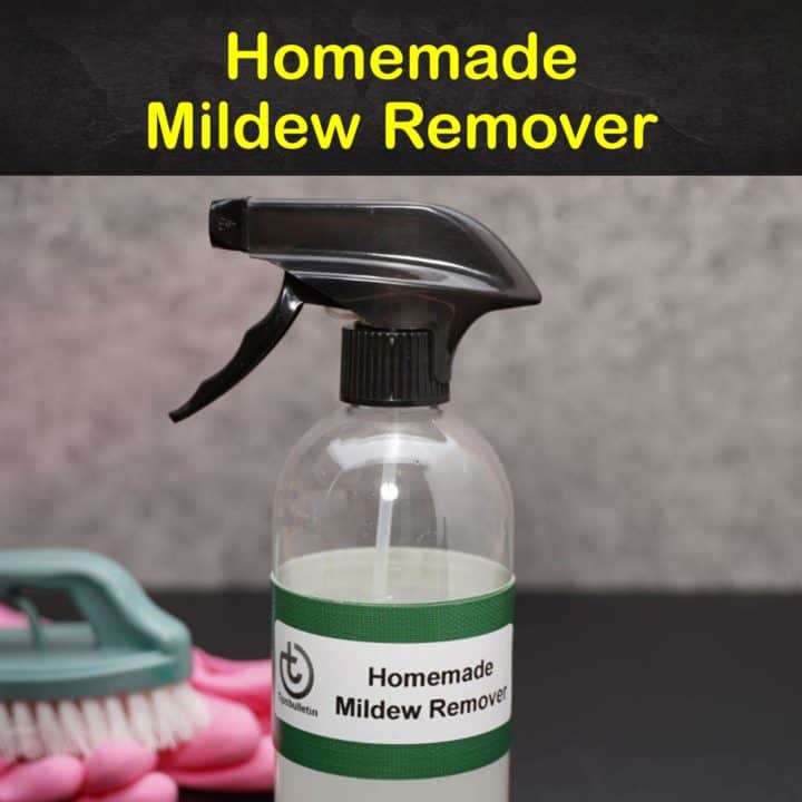 Homemade Mildew Remover