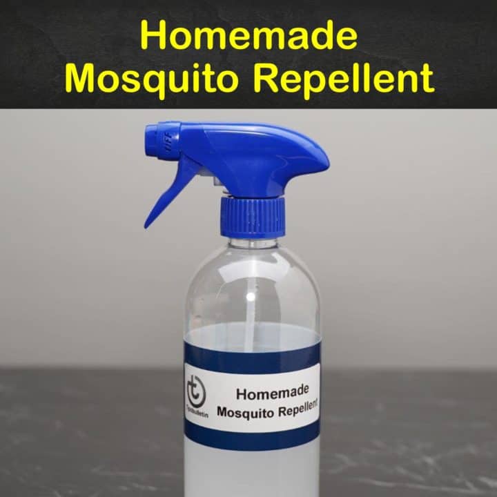 Homemade Mosquito Repellent