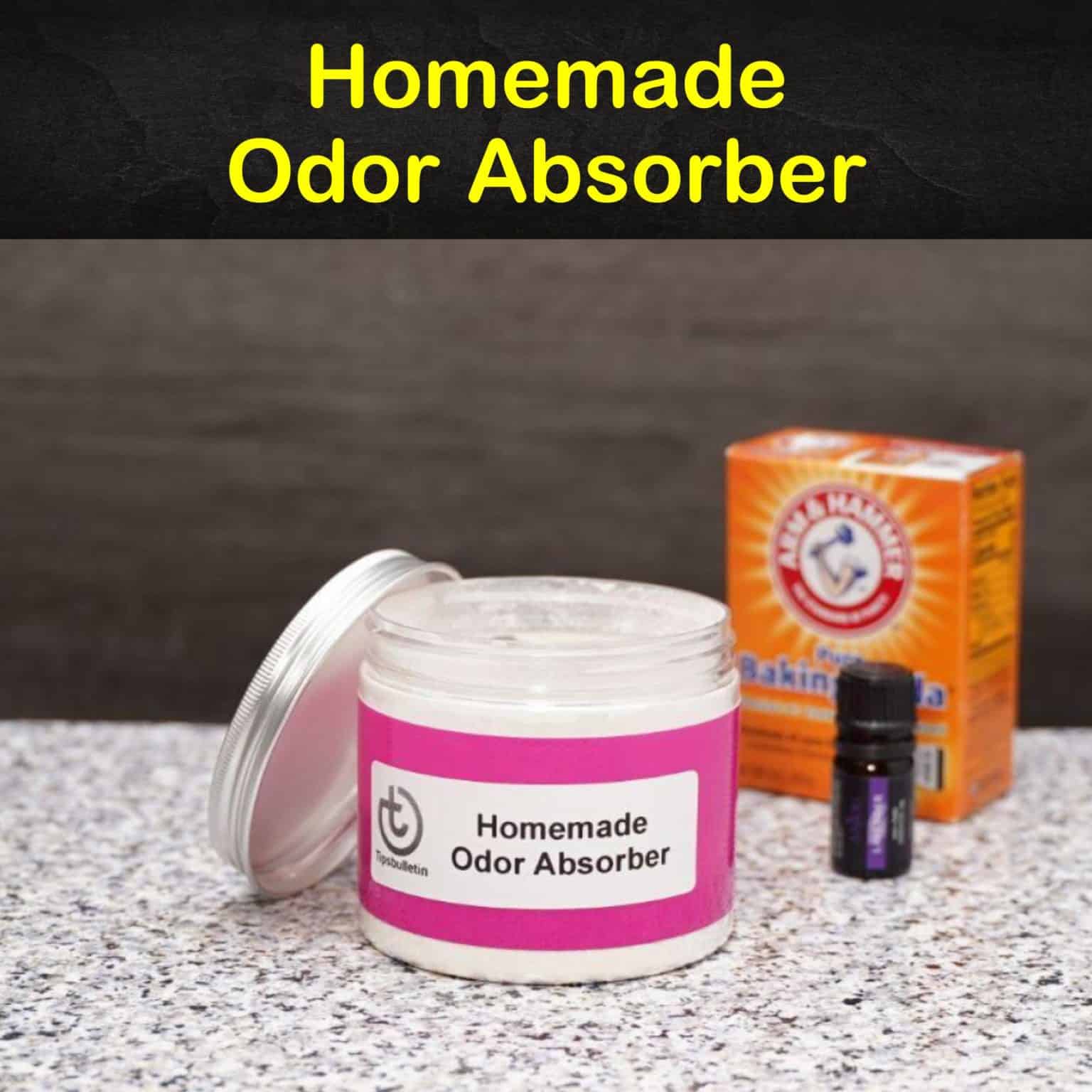 4 EasytoMake DIY Odor Absorber Recipes