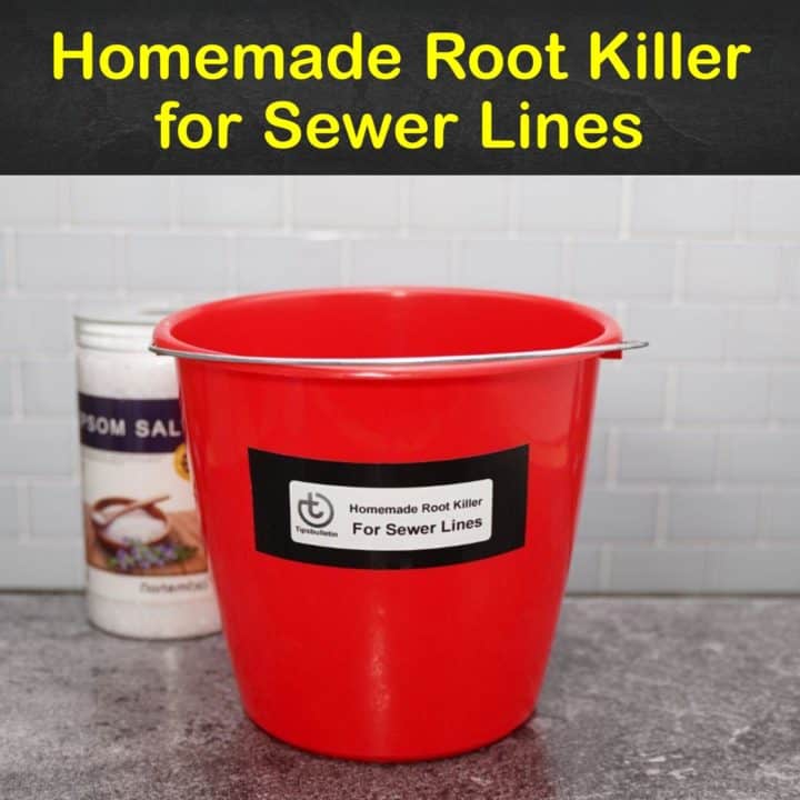 Homemade Root Killer for Sewer Lines